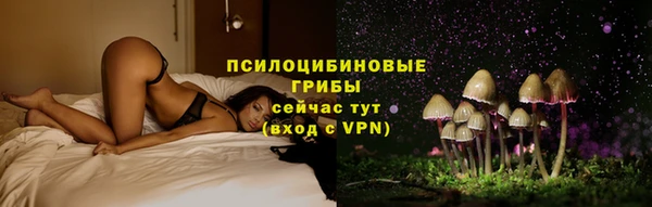 прущая мука Алзамай