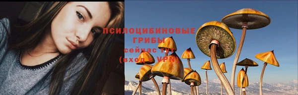 прущая мука Алзамай